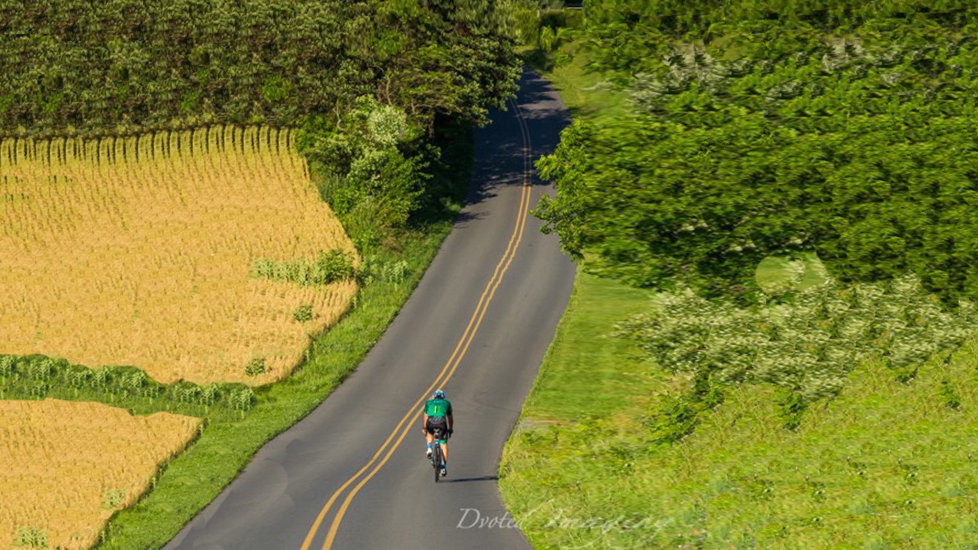 Pedaling Shifting Gears on Brain Health